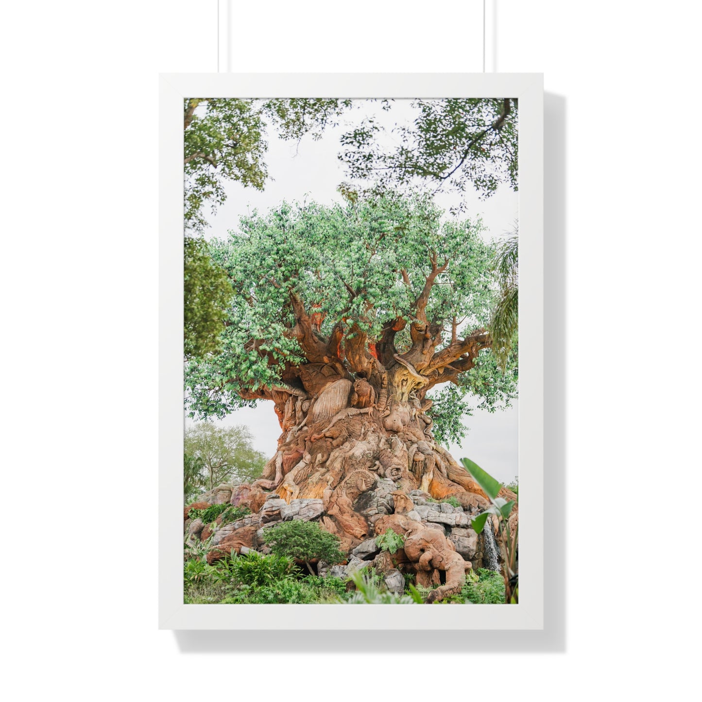 Tree of Life - Framed Print