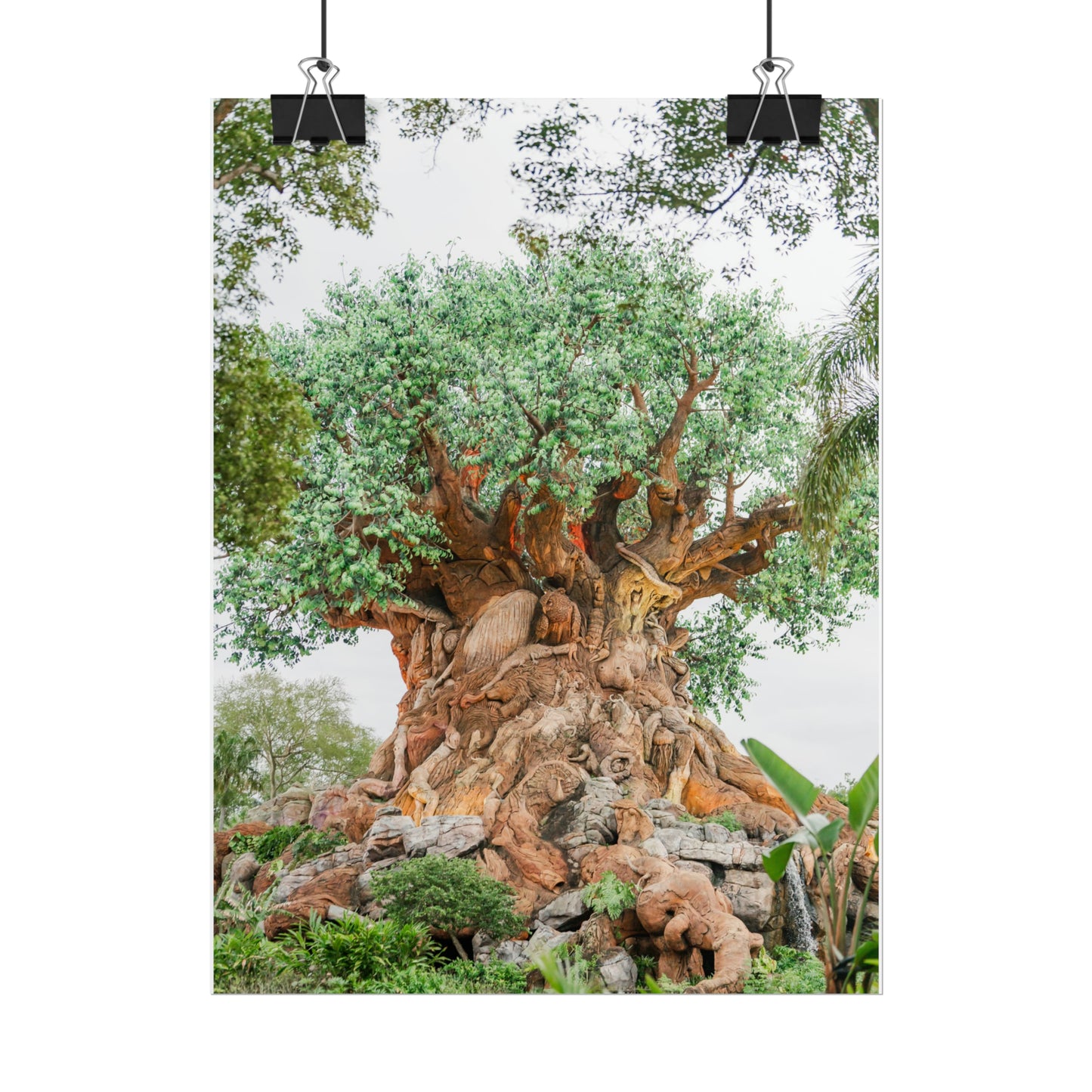 Tree of Life - Unframed Print