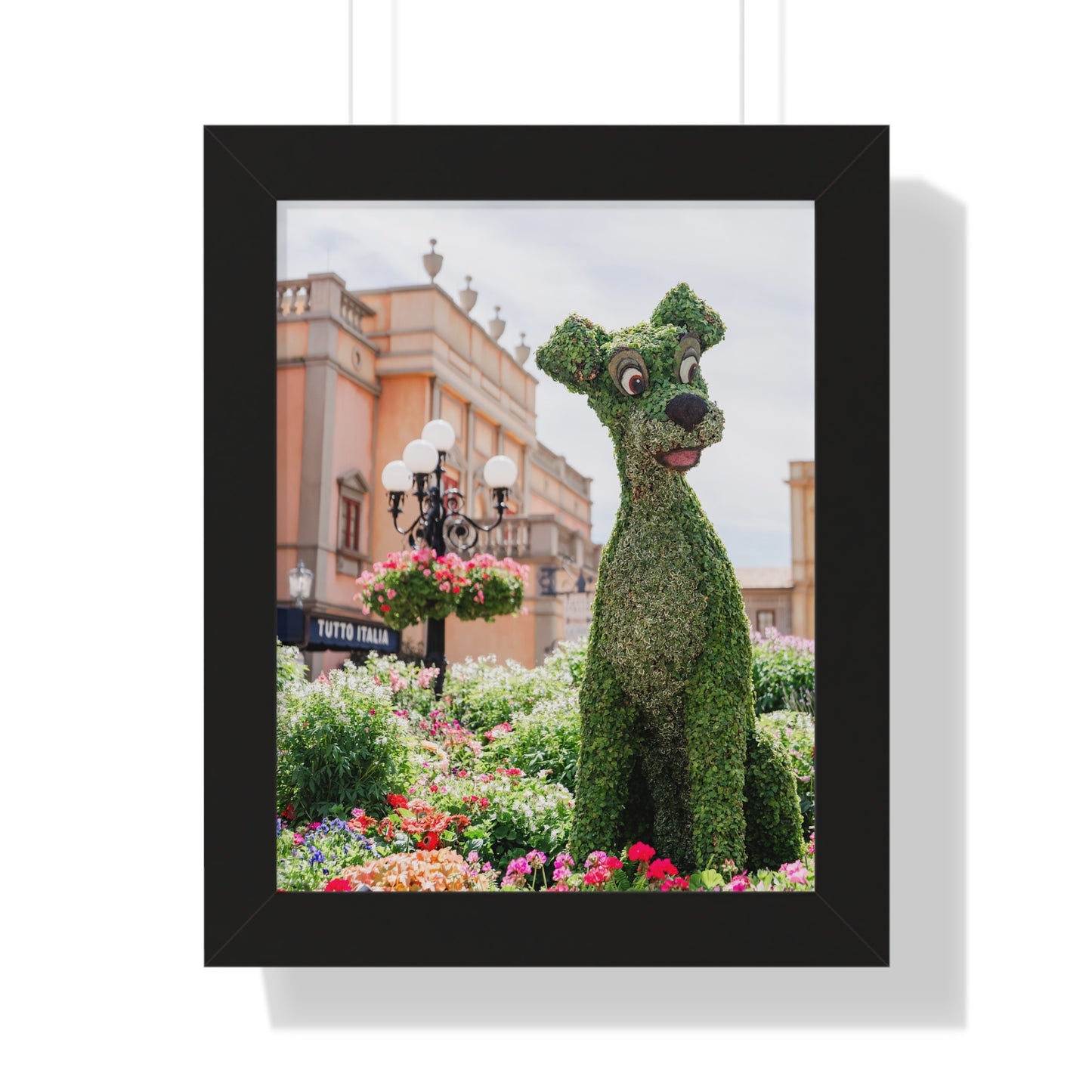 Flower Tramp - Framed Print