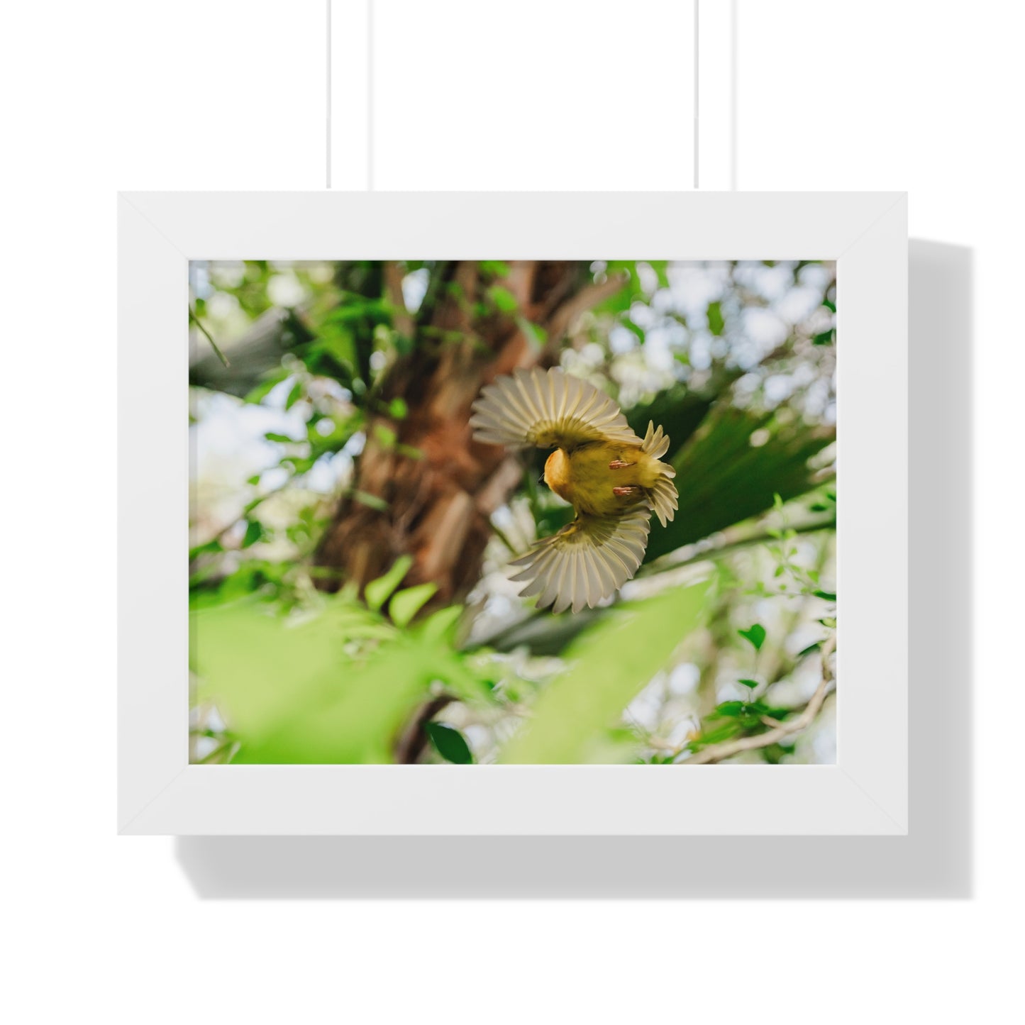 Flight in the Animal Realm - Framed Print