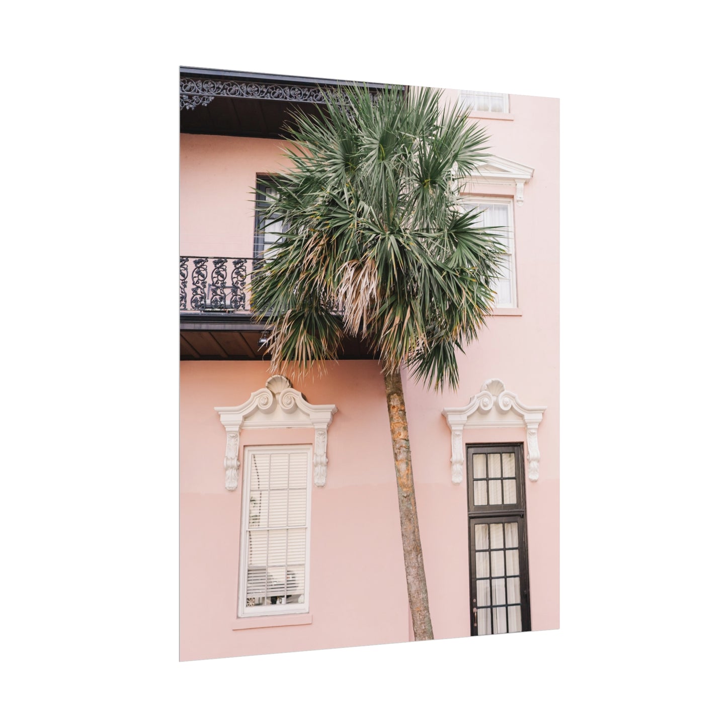 Charleston South Carolina Pink Palmetto - Unframed Print