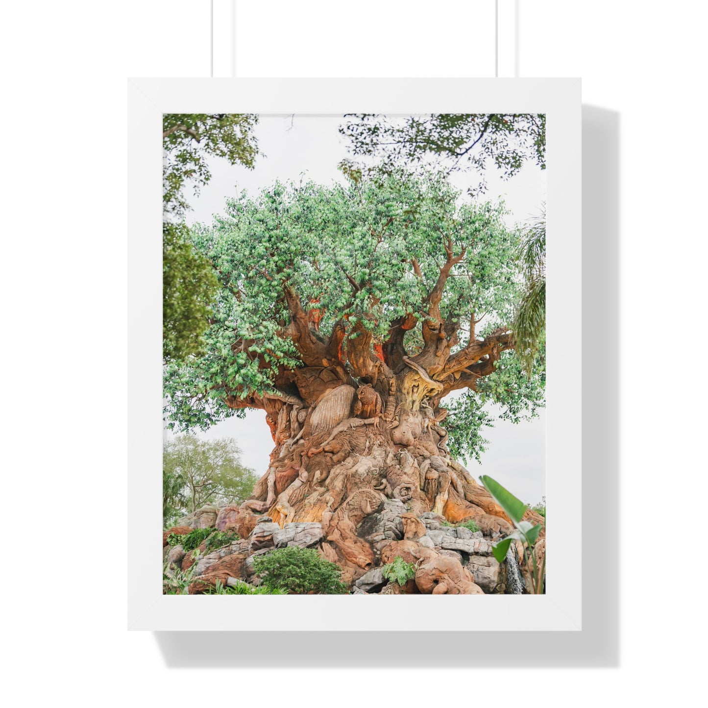 Tree of Life - Framed Print