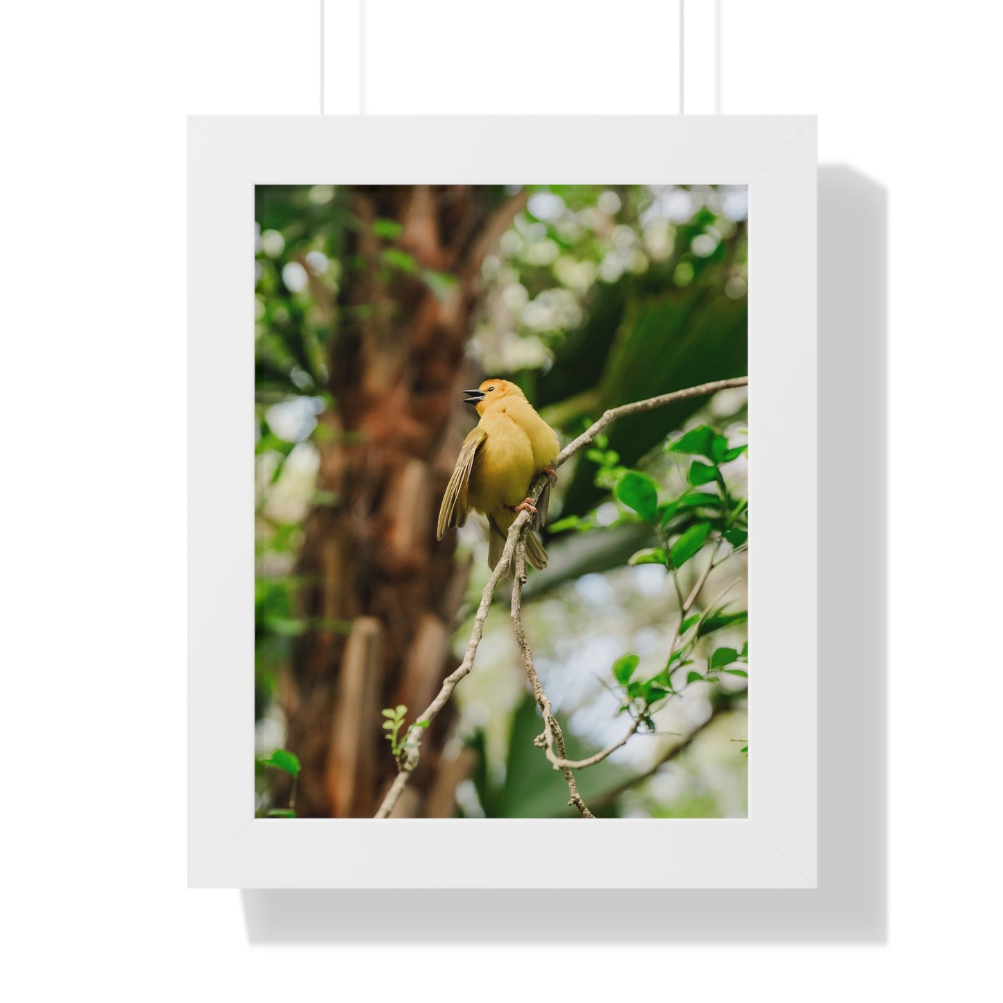 Yellow Bird of Animal Realm - Framed Print