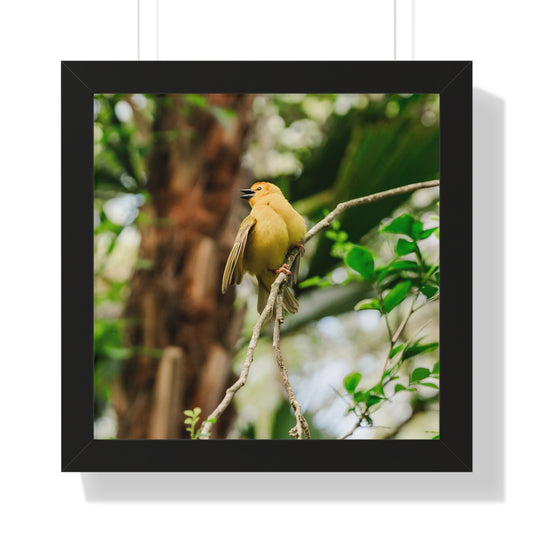 Yellow Bird of Animal Realm - Framed Print