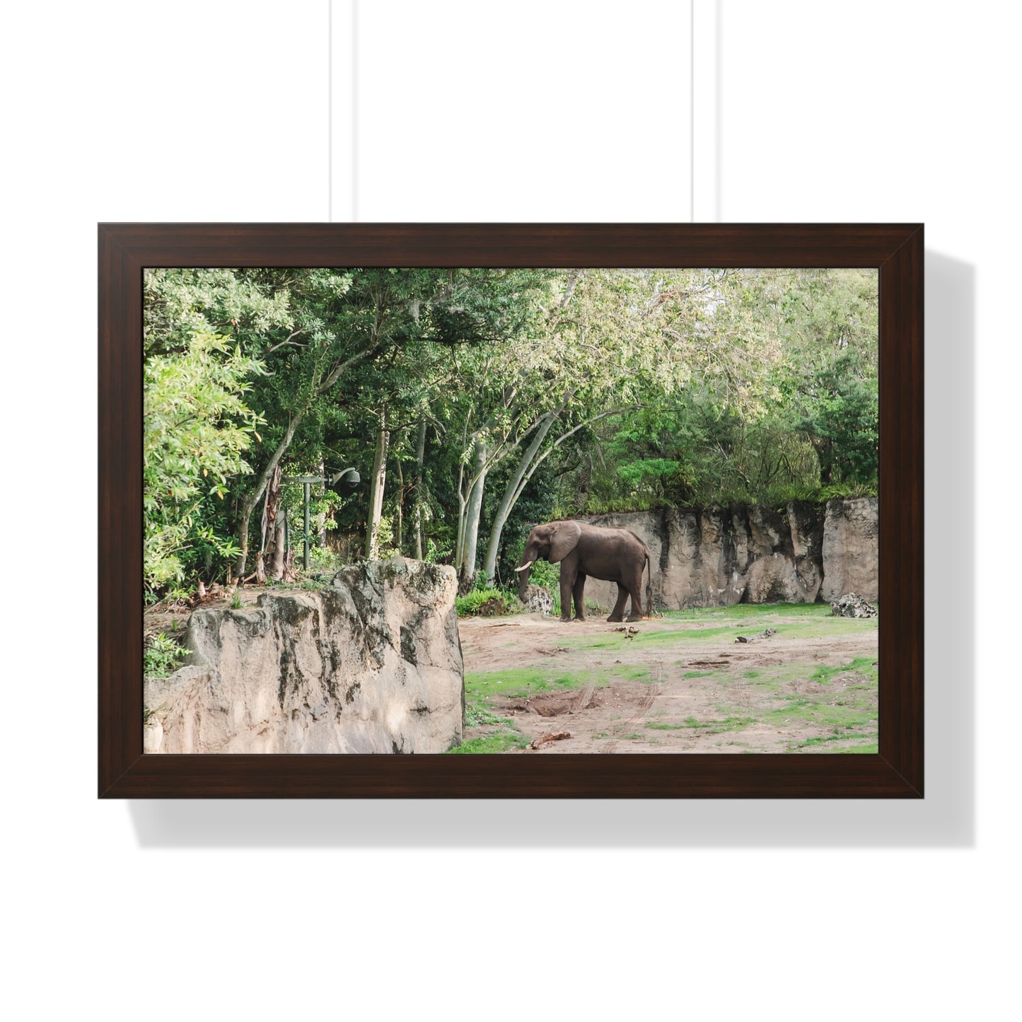 Kingdom Elephant - Framed Print