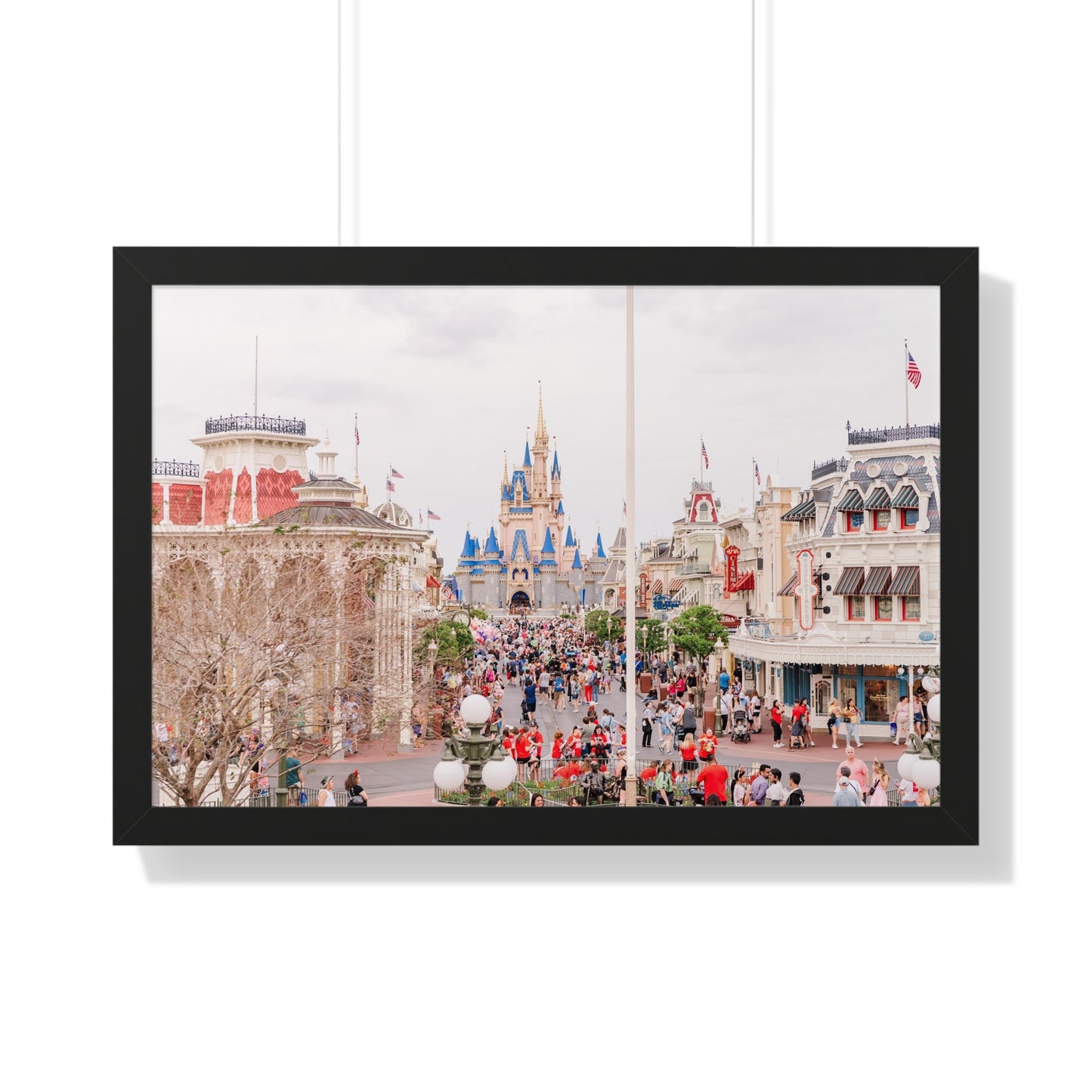 A Realistic Kingdom - Framed Print