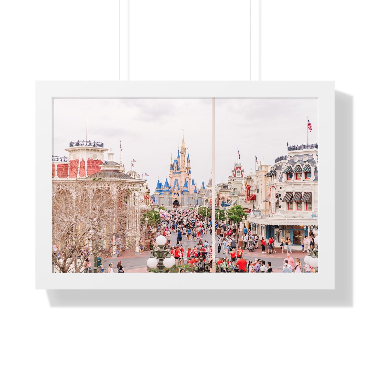 A Realistic Kingdom - Framed Print