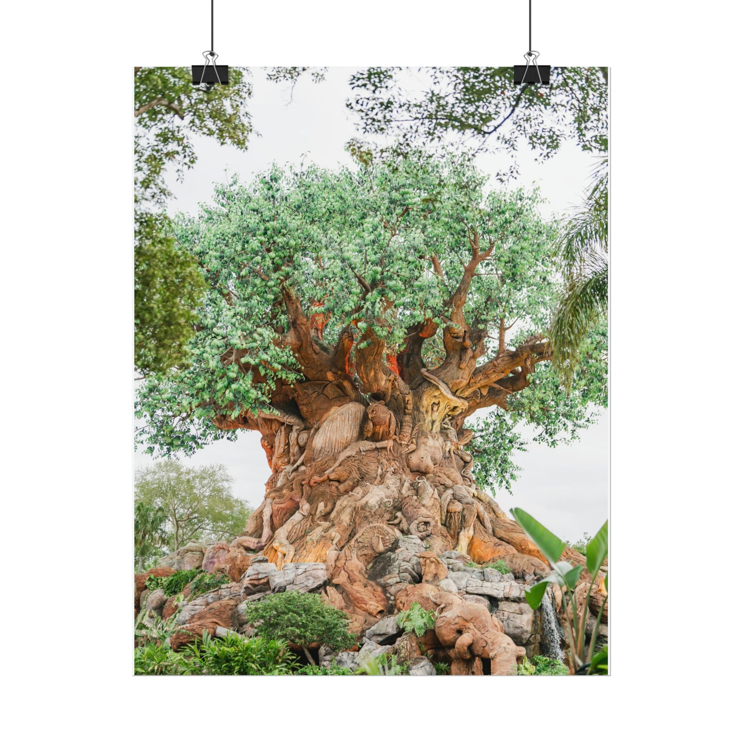 Tree of Life - Unframed Print