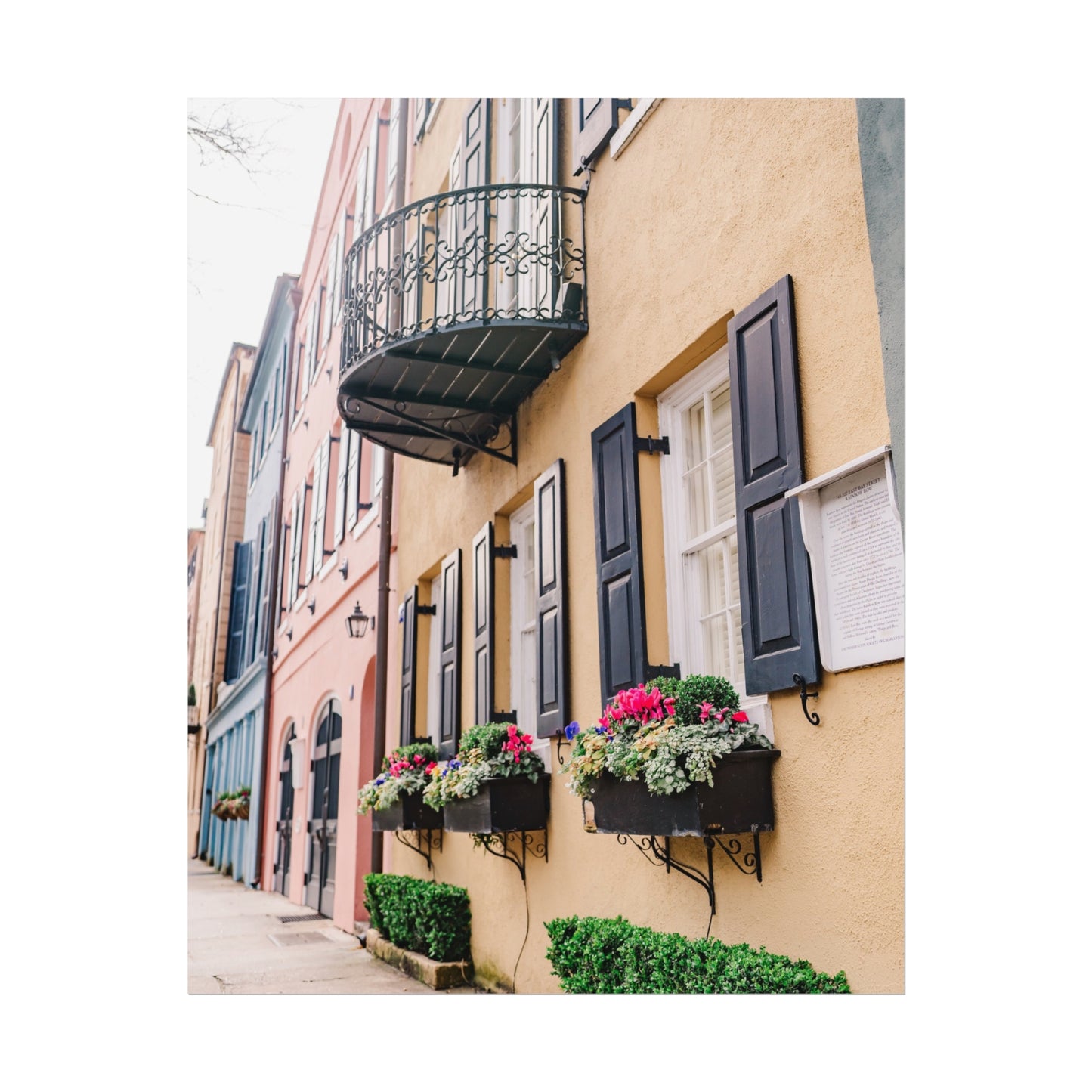 Charleston South Carolina Rainbow Row in Yellow - Unframed Print