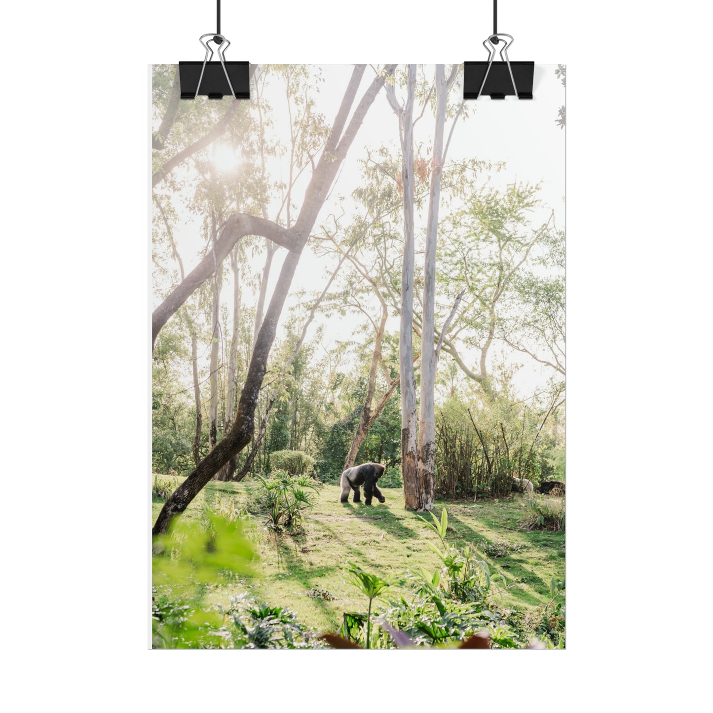 Magical Gorilla - Unframed Print