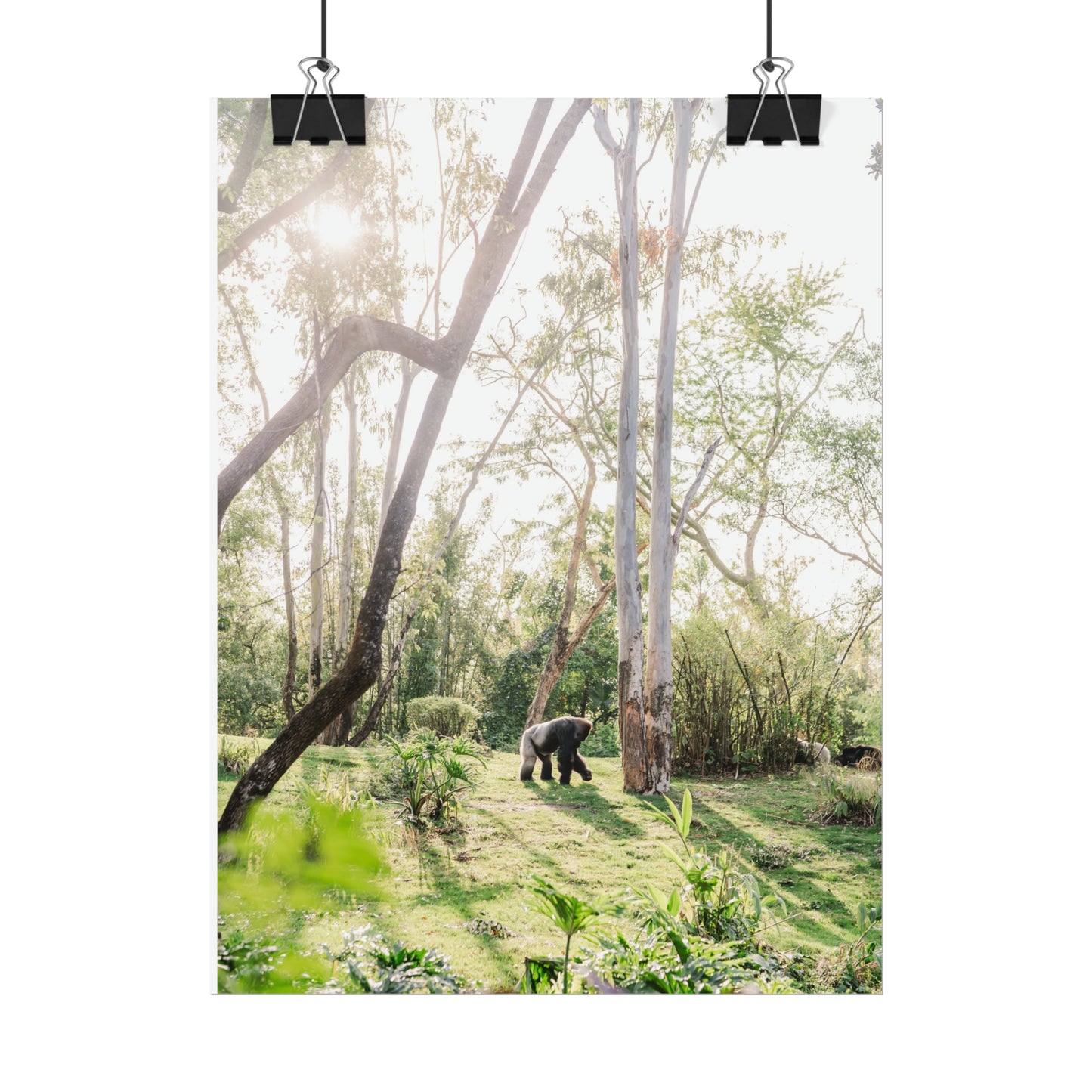 Magical Gorilla - Unframed Print