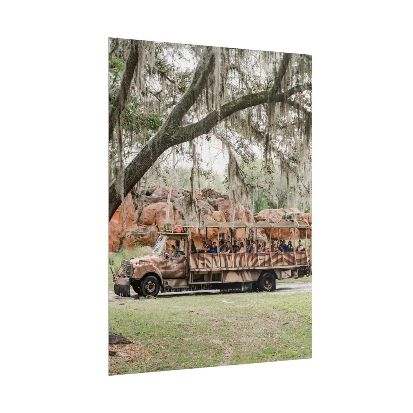 A Safari Truck - Unframed Print