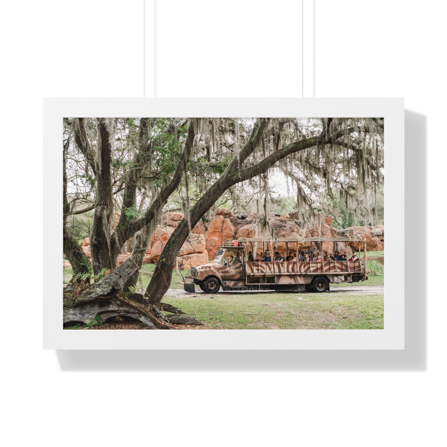 Animal Safari - A Framed Print