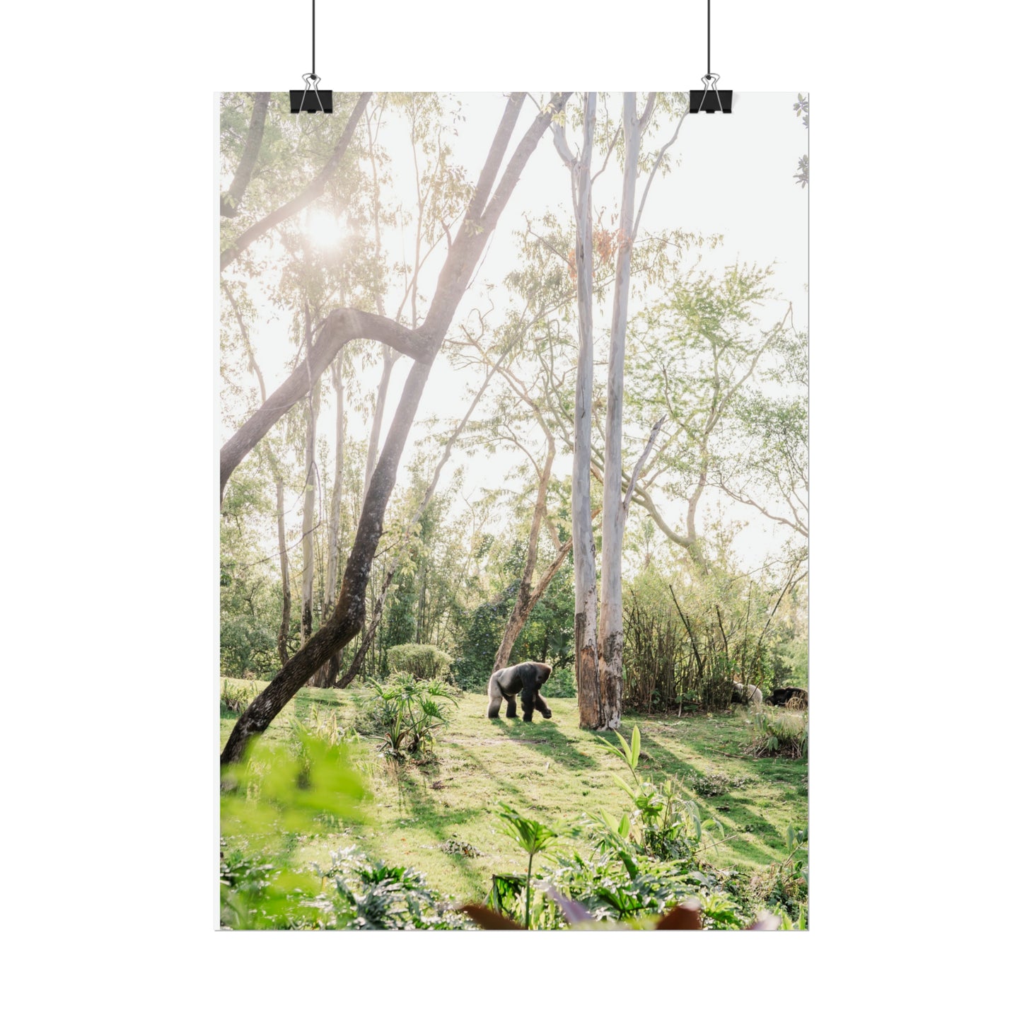 Magical Gorilla - Unframed Print