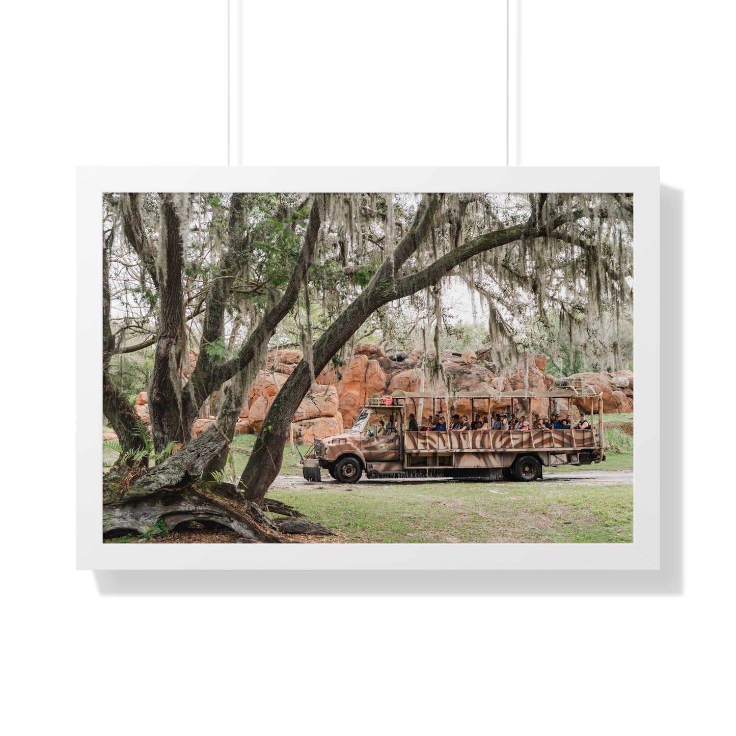 Animal Safari - A Framed Print