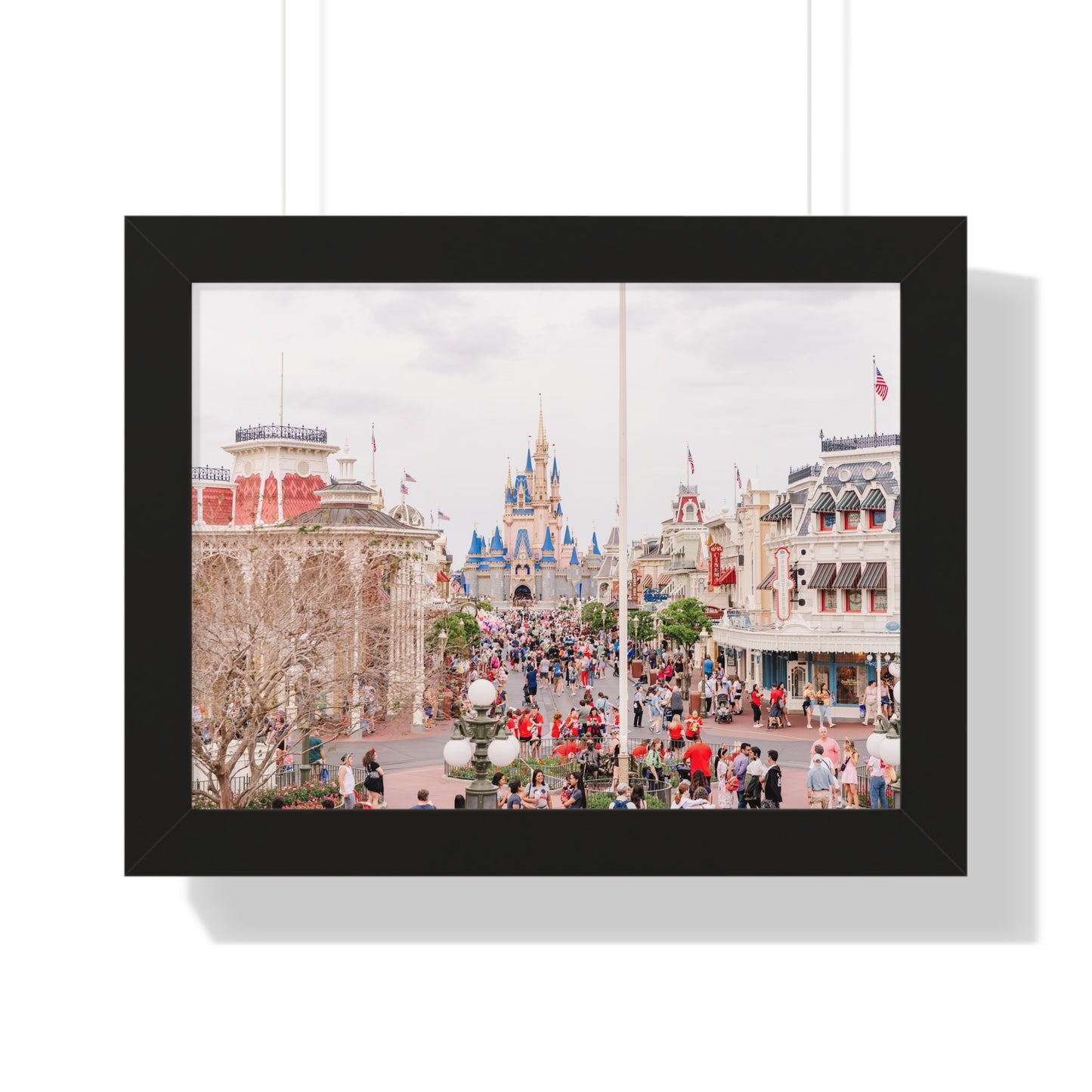 A Realistic Kingdom - Framed Print