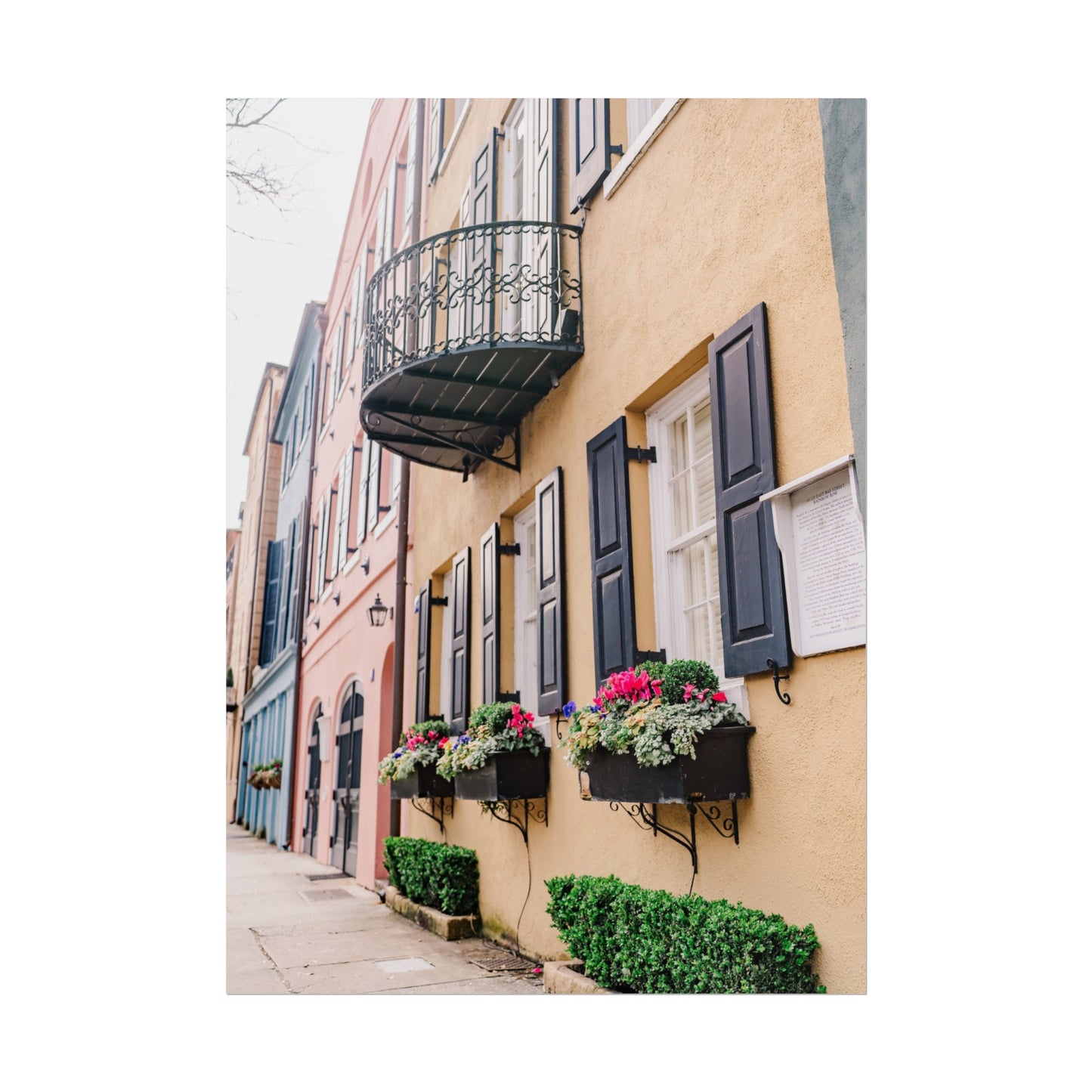 Charleston South Carolina Rainbow Row in Yellow - Unframed Print