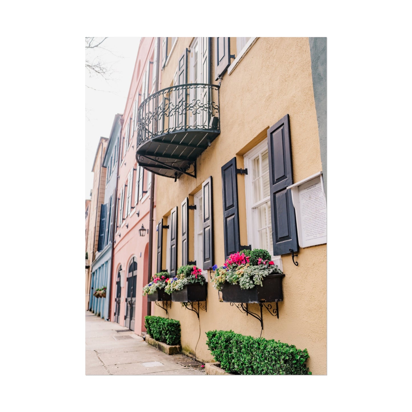 Charleston South Carolina Rainbow Row in Yellow - Unframed Print