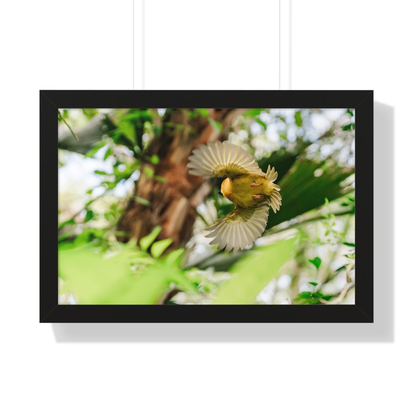 Flight in the Animal Realm - Framed Print