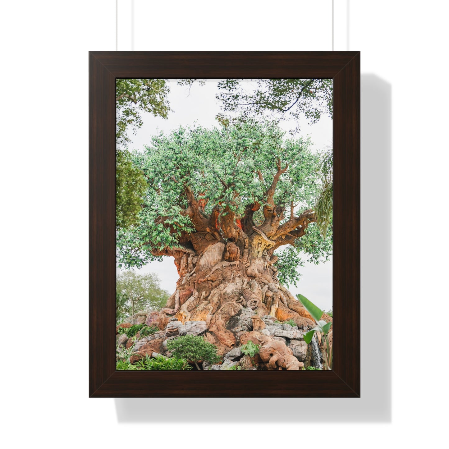 Tree of Life - Framed Print