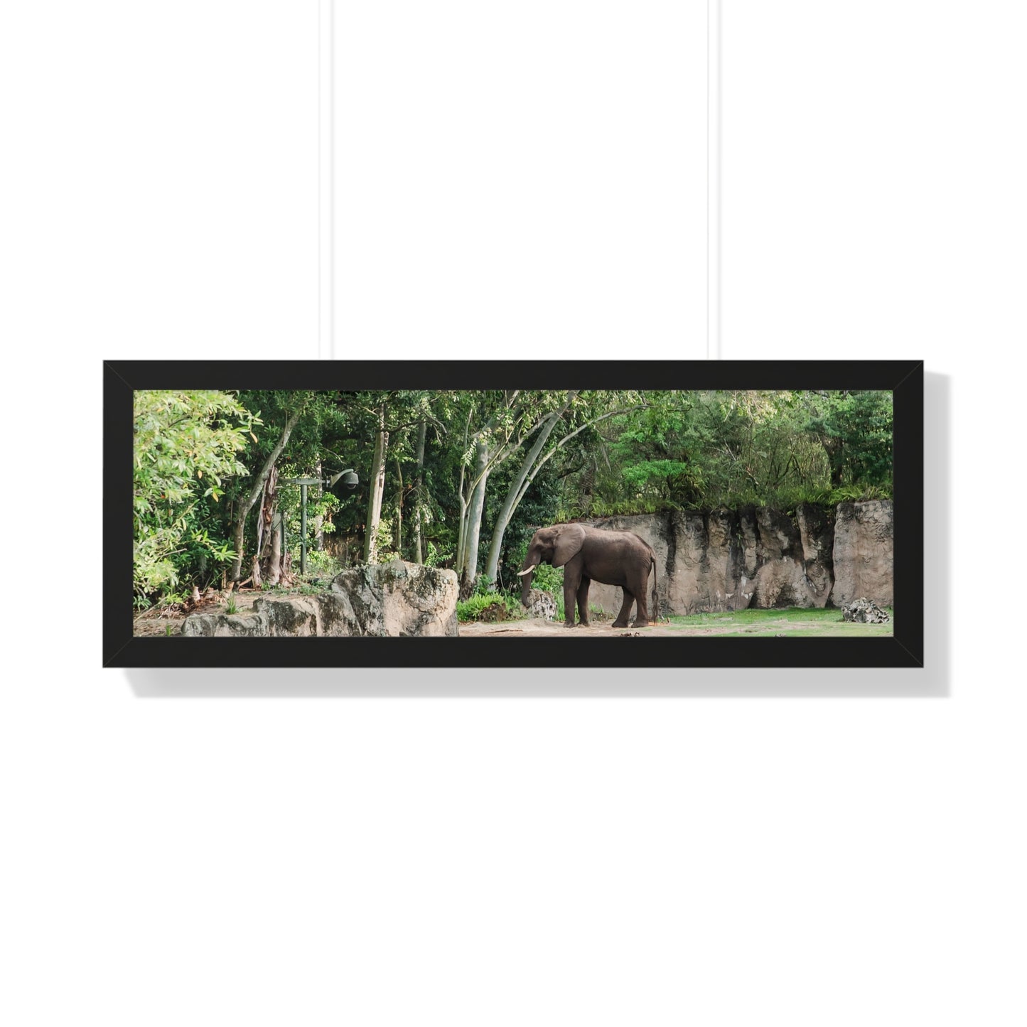 Kingdom Elephant - Framed Print