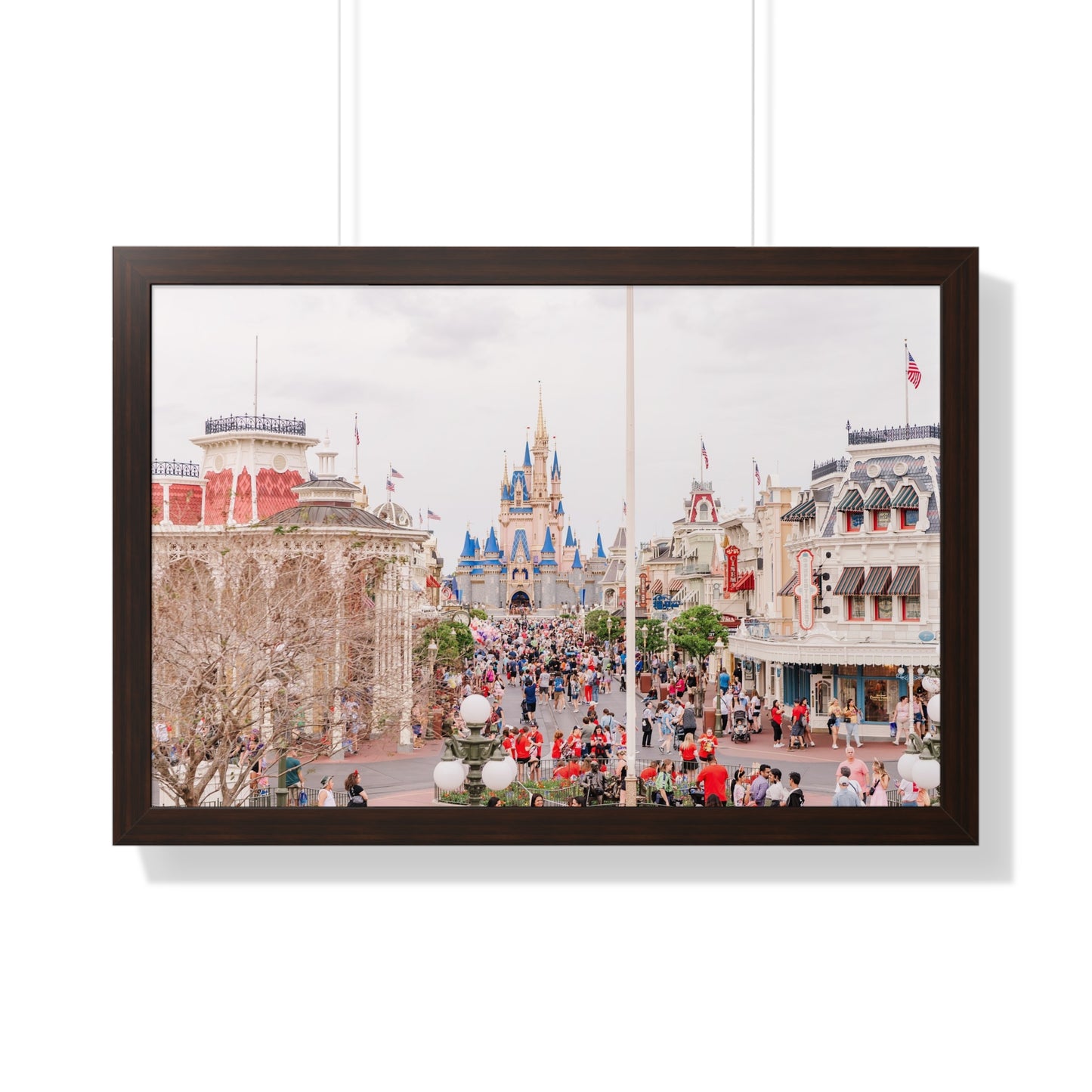 A Realistic Kingdom - Framed Print