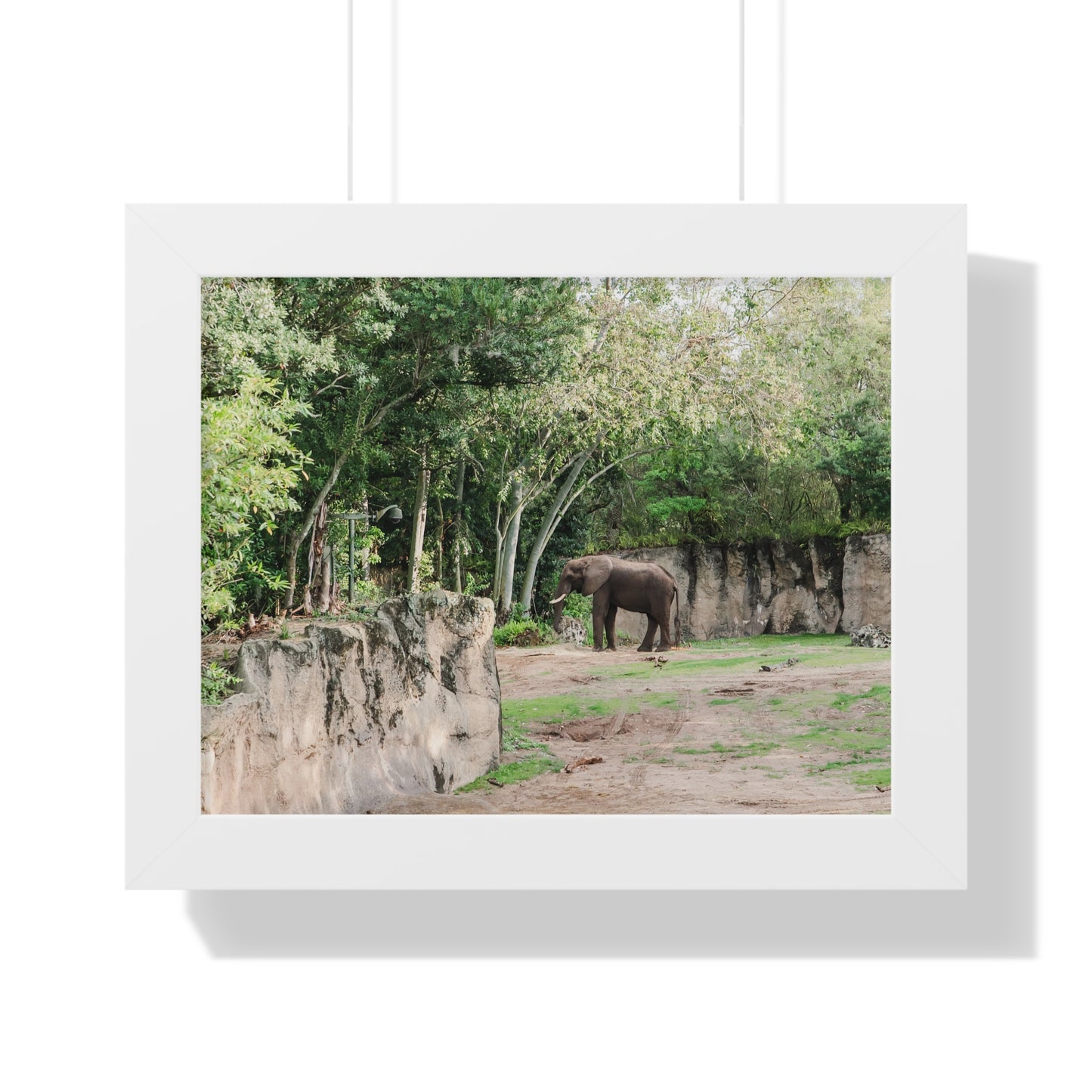 Kingdom Elephant - Framed Print