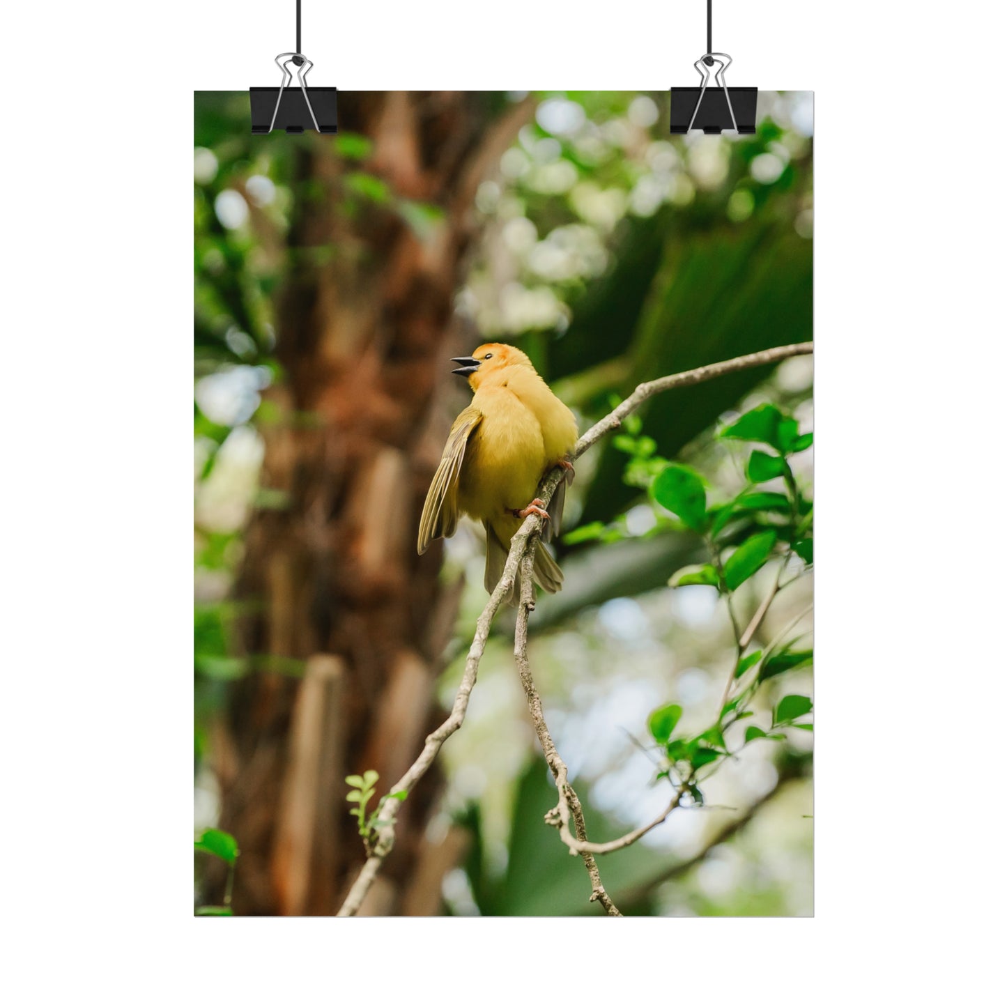 Pretty Serene Yellow - Unframed Print